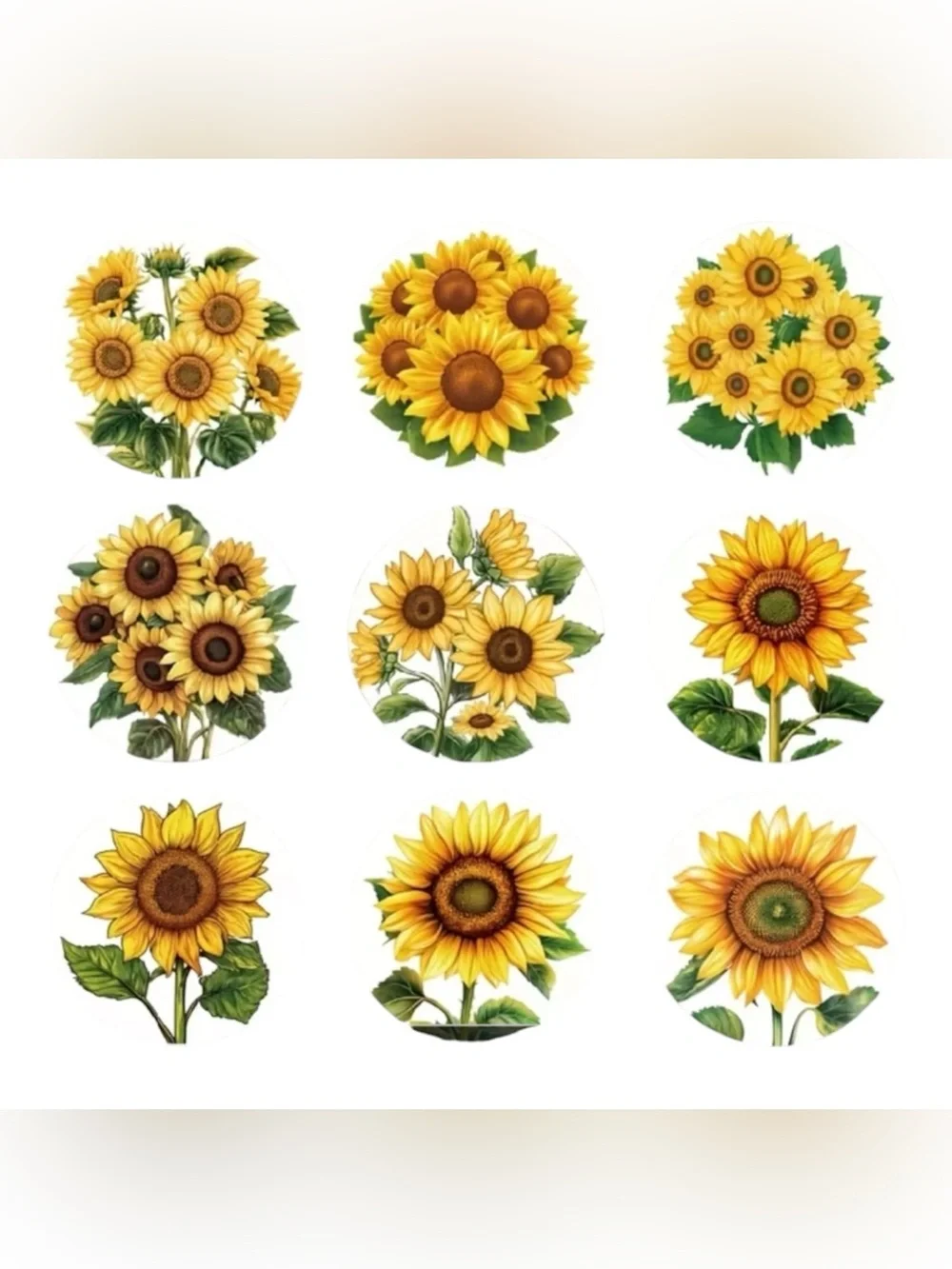 Sunflower Sticker Roll - 500/roll New